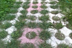 FOLOSIND-EKO-NATURA-2