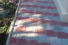 montaj pavele Roman